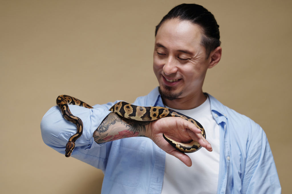 Mudanzas con Animales Exóticos: Todo lo que Debes Saber para un Traslado Legal y Seguro